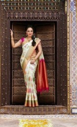 fastival collection saree