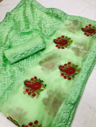 Organza Embroidery saree